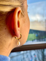 Load image into Gallery viewer, Dangling Fresh Water Pearl Half Hoop Earrings In Gold Vermeil - Nili Gem